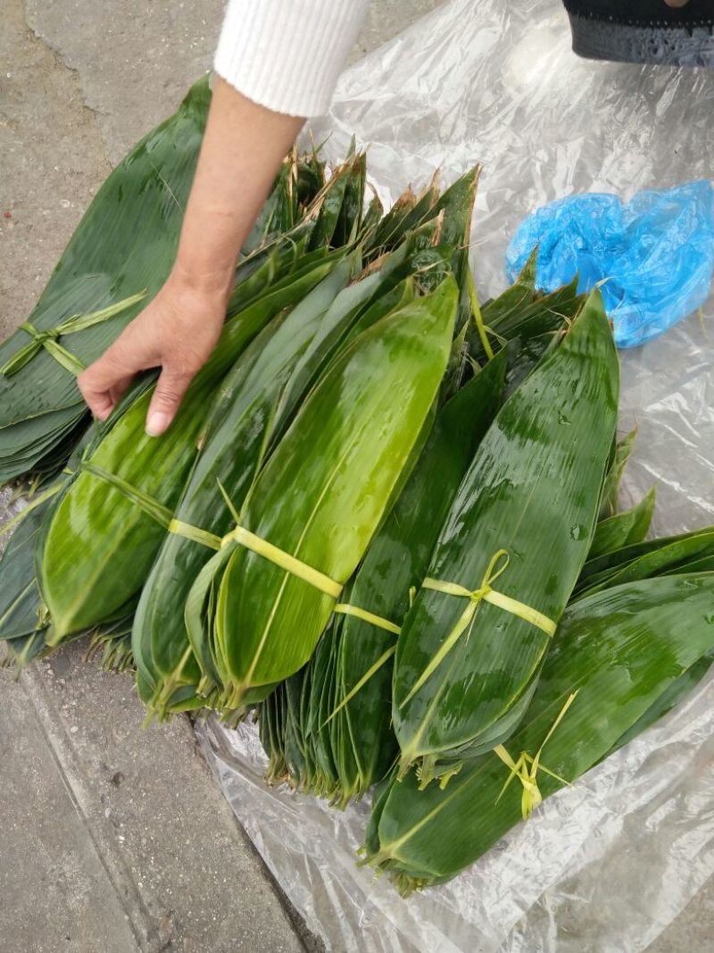 粽叶，包粽子专用叶子，