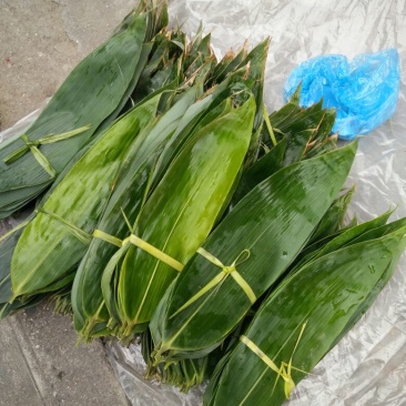 粽叶，包粽子专用叶子，