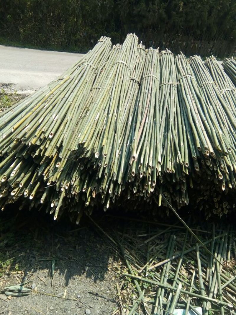 菜架竹，大棚竹，扶树竹竿，白夹竹斑竹出售1.1米至7米