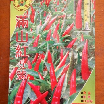 满山红朝天椒种子，5克