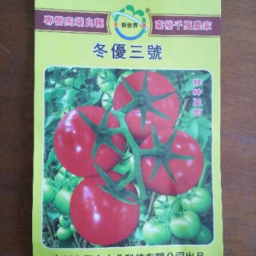 冬优三号西红柿种子,5克