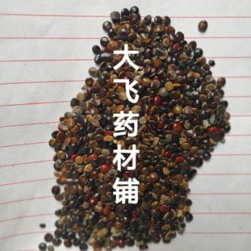 枳椇子陕西1公斤起批无硫无添加不包邮正品