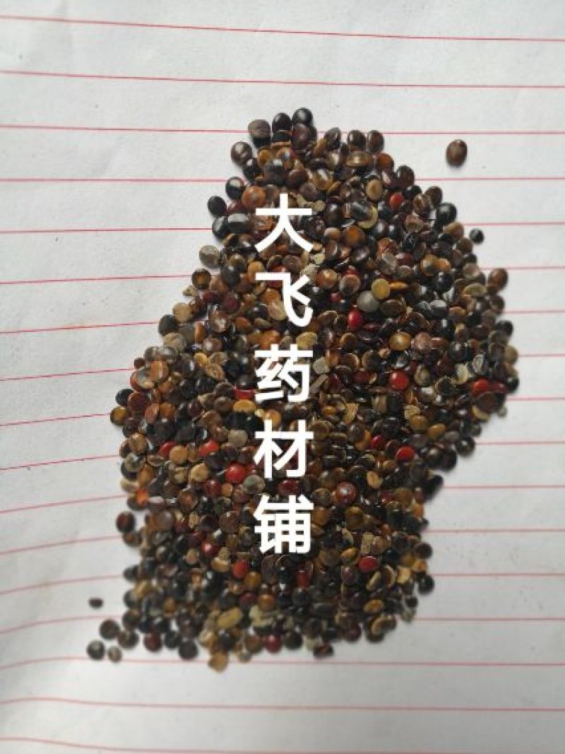 枳椇子陕西1公斤起批无硫无添加不包邮正品