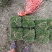 马尼拉草皮21*21