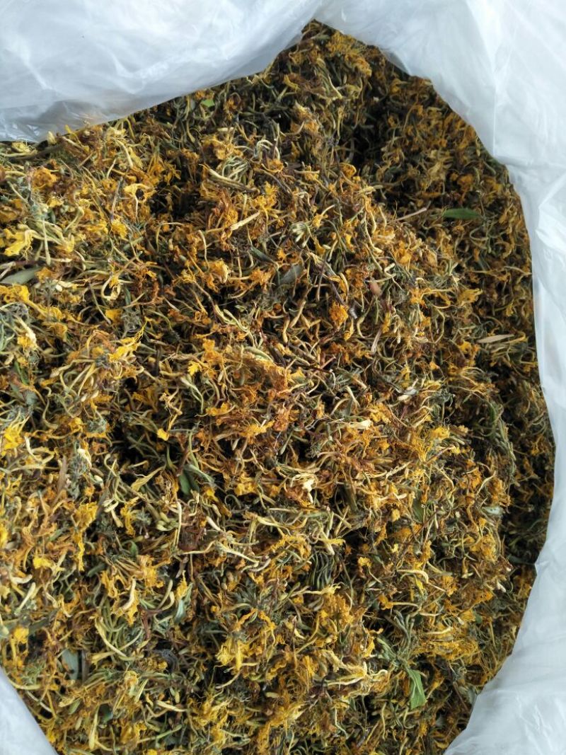 高山，野生金银花，金银花金银花，新货新货新货