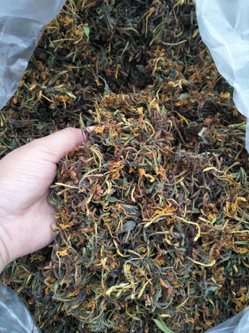 高山，野生金银花，金银花金银花，新货新货新货