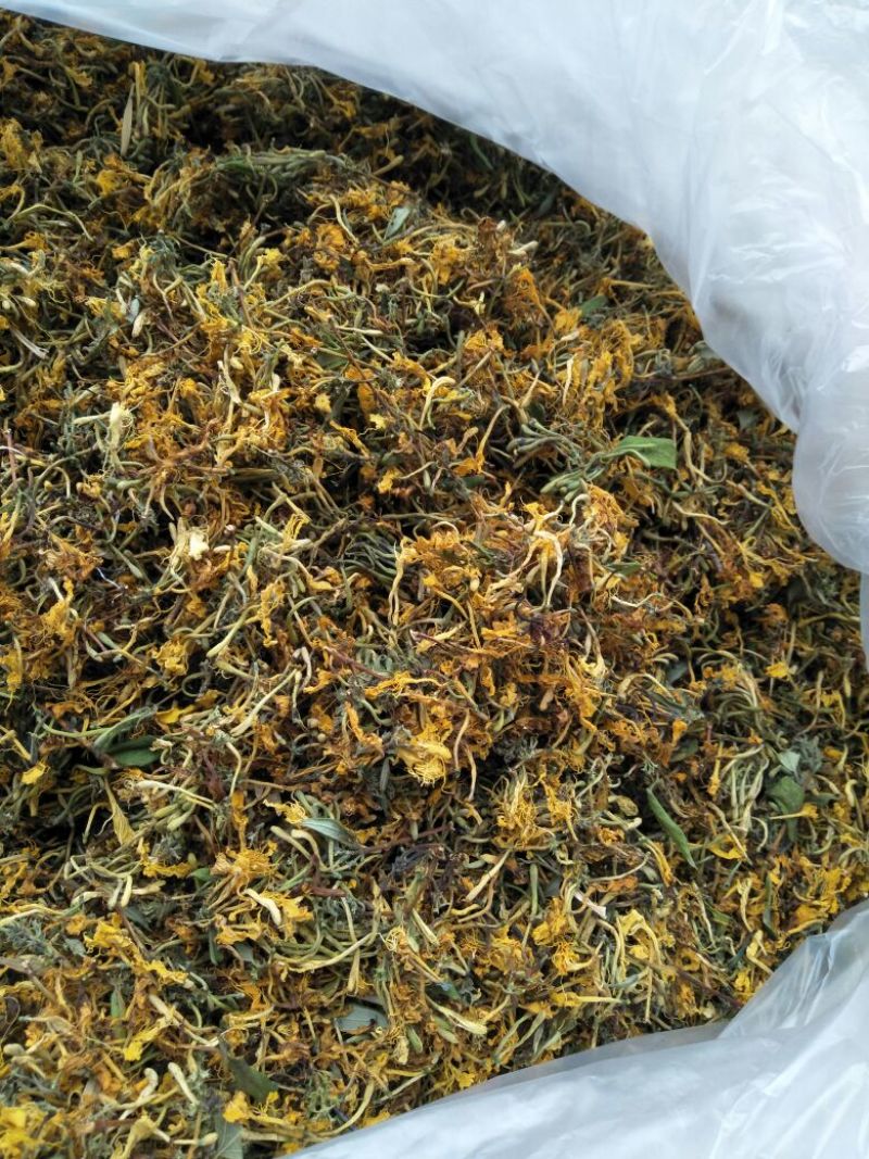 高山，野生金银花，金银花金银花，新货新货新货