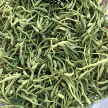 金银花，一级，二级，三级货。量大