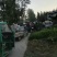 苏北陆地硬粉西红柿上市了！欢迎您的到来！