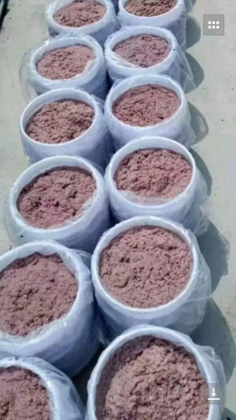 渤海湾虾酱，高温发酵低盐储存，不抽油不染色，鲜，咸香