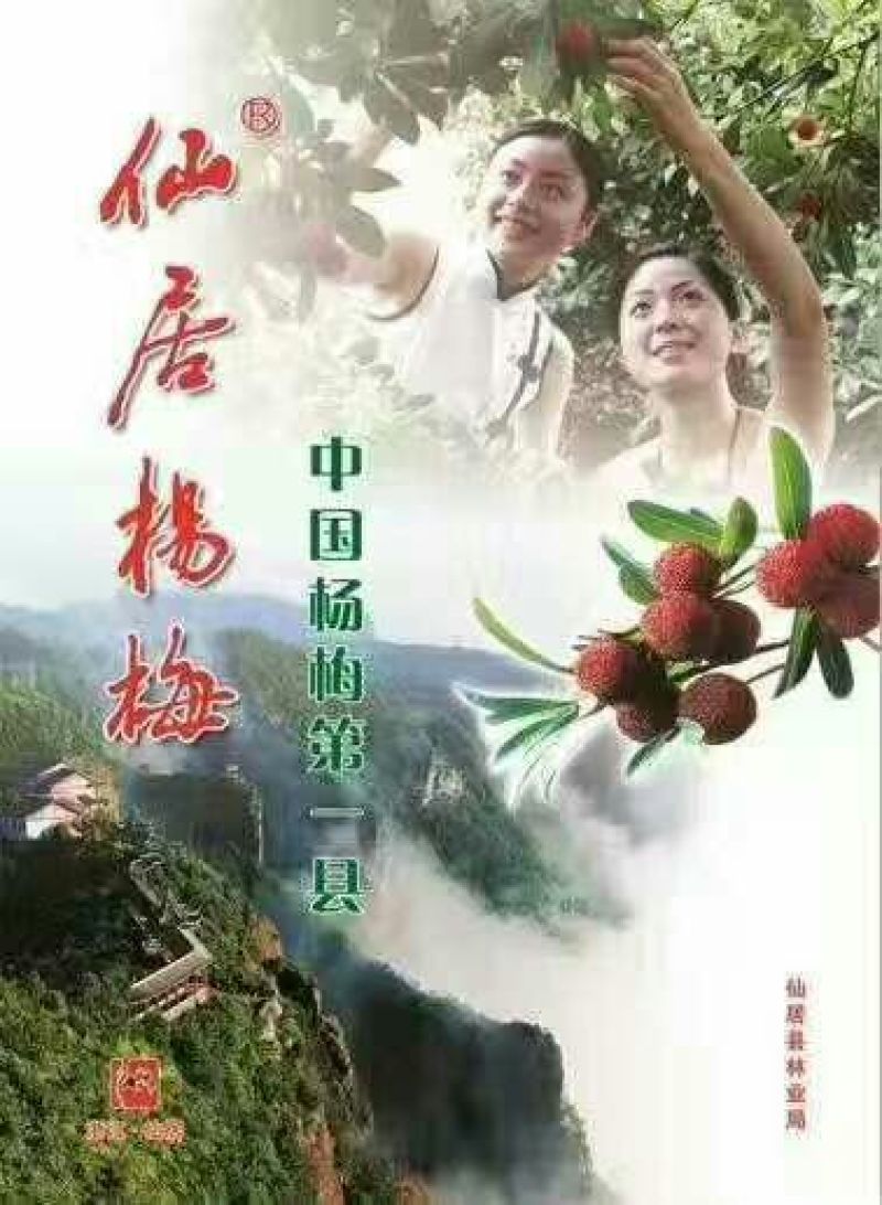 仙居杨梅