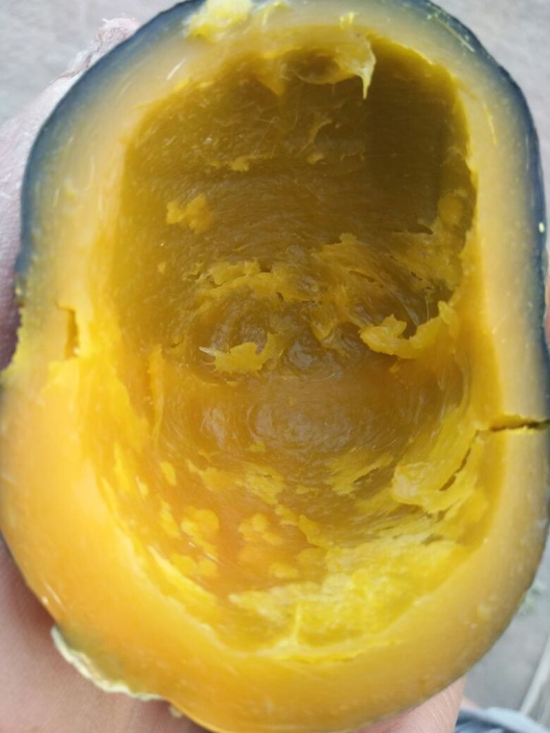 黑金刚南瓜