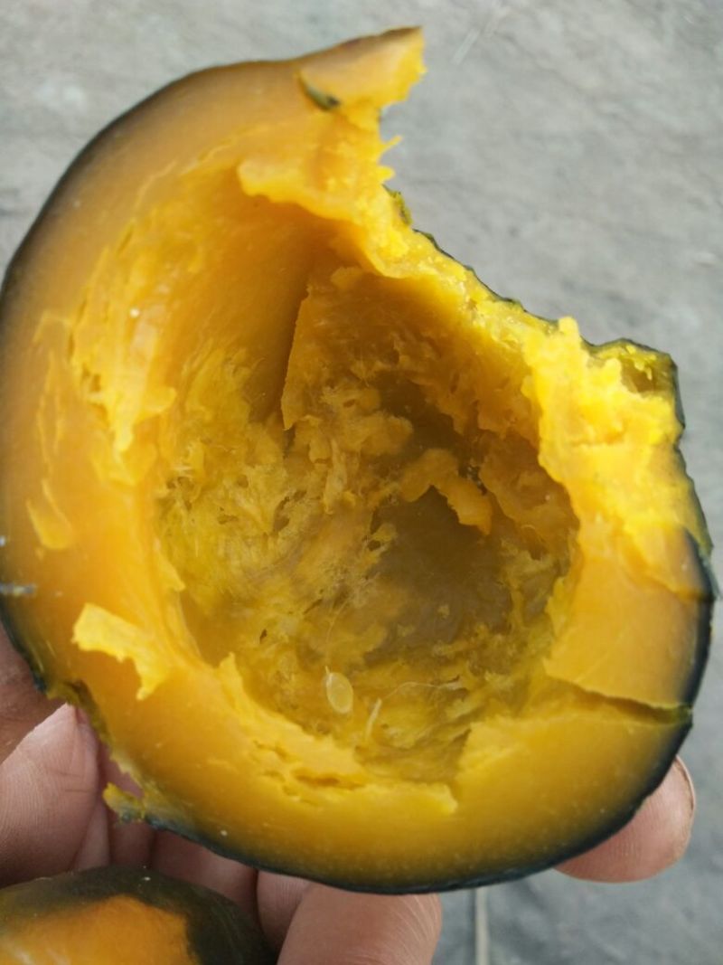 黑金刚南瓜
