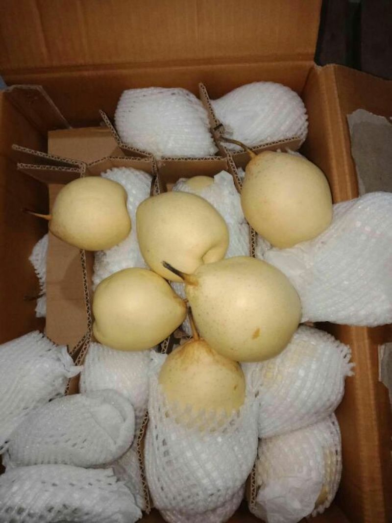 水晶鸭梨，个大梨白，口感细甜，产地直发，