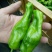 泡椒，鲜辣椒10~15厘米微辣青椒，