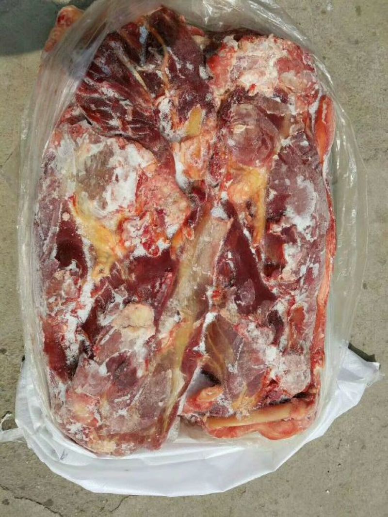 蒙古马肉