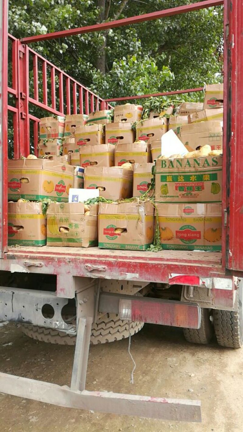 V7荷兰十五土豆，商超品质**，可视频验货