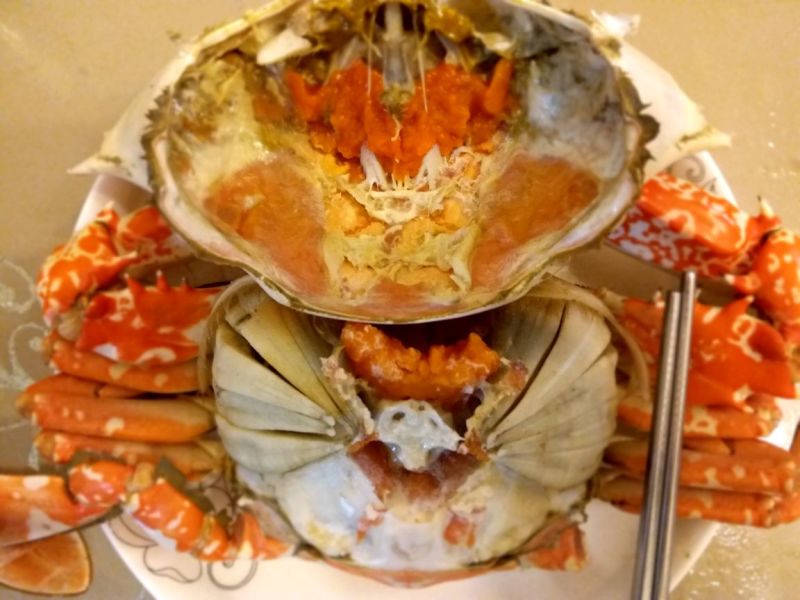 船冻大飞蟹