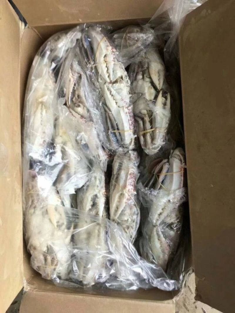 船冻大飞蟹