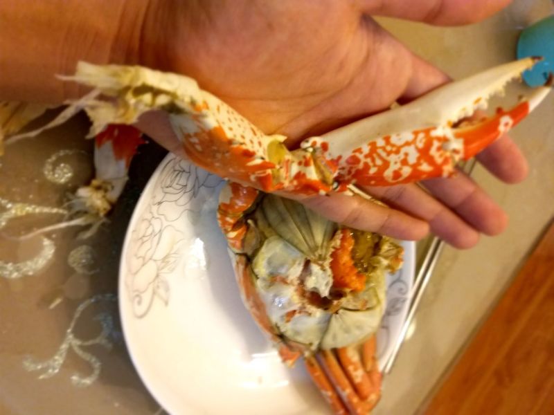 船冻大飞蟹