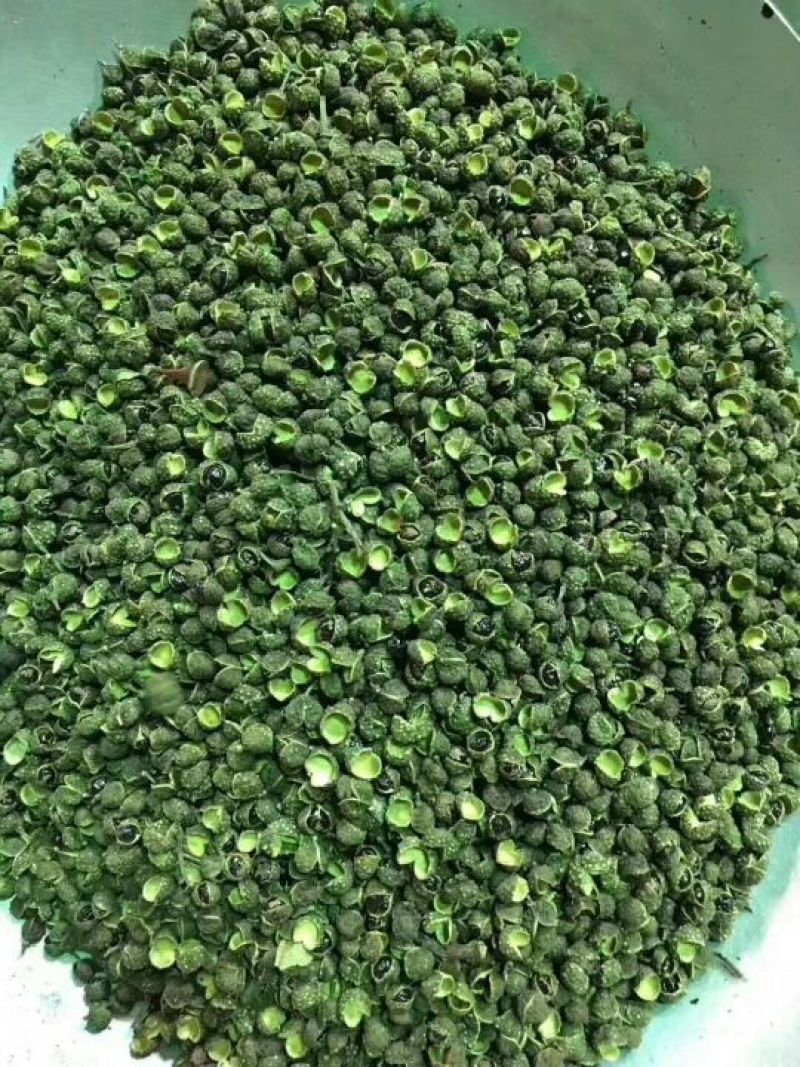 山东大红袍，青麻椒