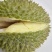 金枕榴莲3-4斤一件