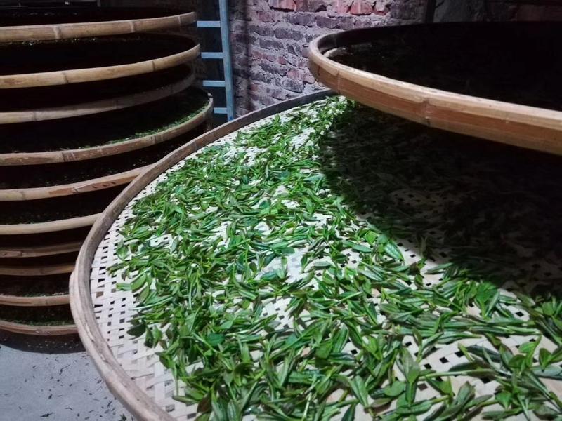 三明市大田高山红茶，自产自销一条龙、货源充足。