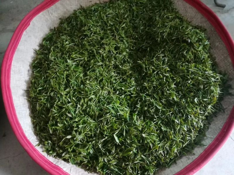 三明市大田高山红茶，自产自销一条龙、货源充足。