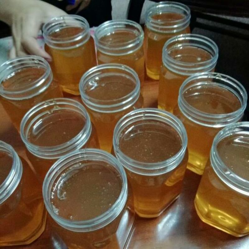 蜂蜜独家。土蜂蜜