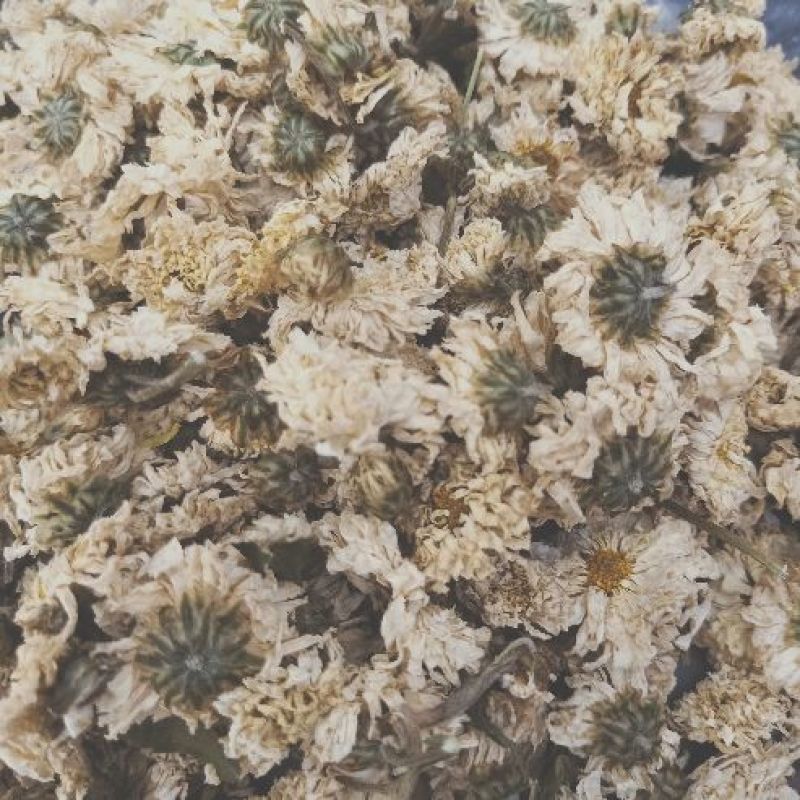 干菊花