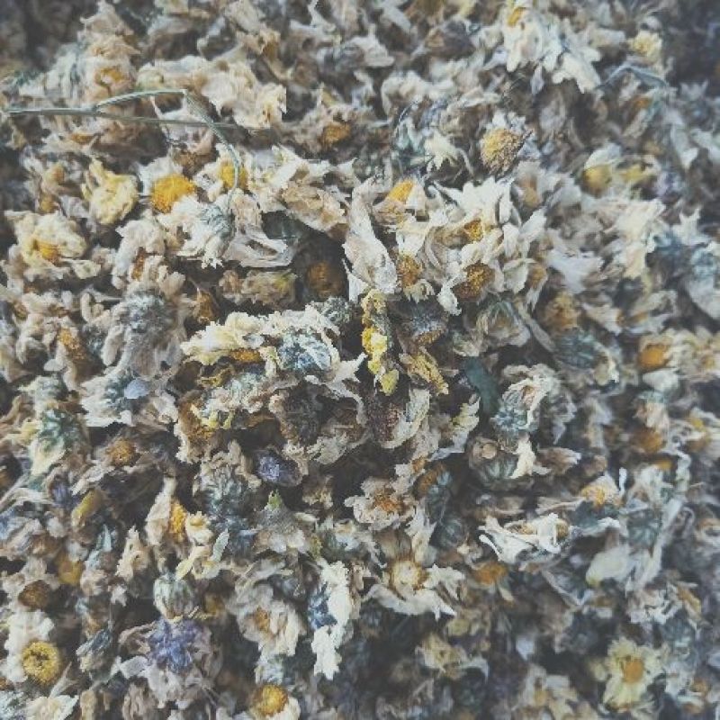 干菊花