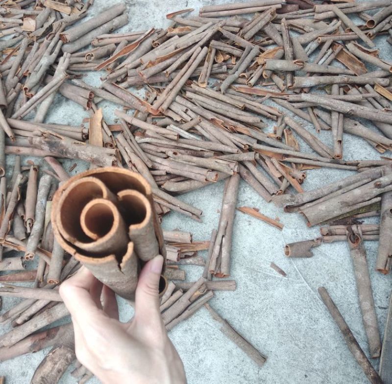 桂皮香味浓厚