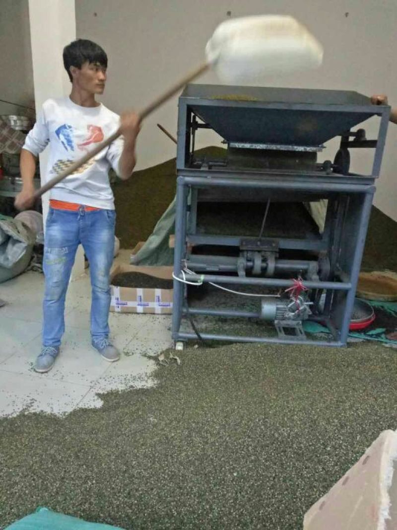 精品云南青麻椒一手货源质量保障视频看货等您来电