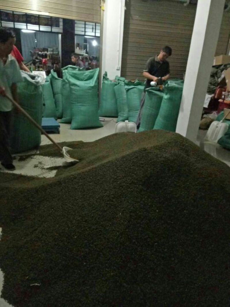精品云南青麻椒一手货源质量保障视频看货等您来电