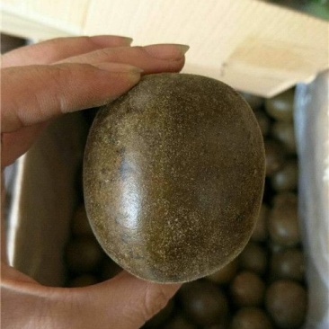 罗汉果大果批发价不包邮