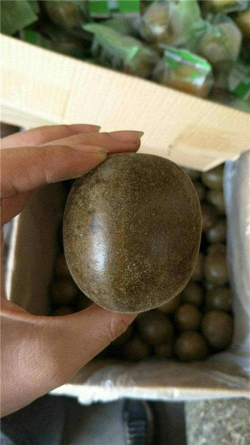 罗汉果大果批发价不包邮