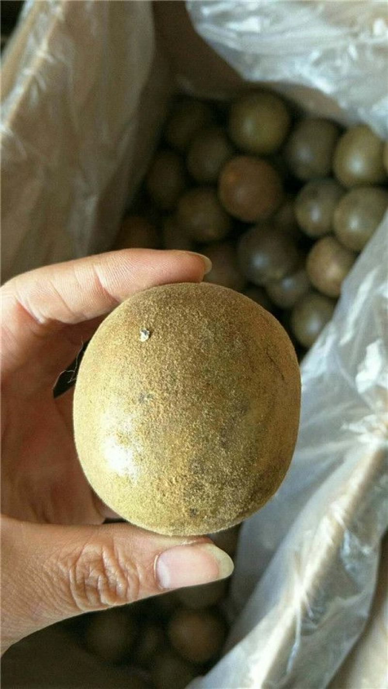 罗汉果大果批发价不包邮