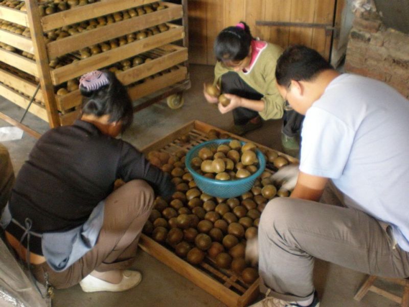 罗汉果大果批发价不包邮