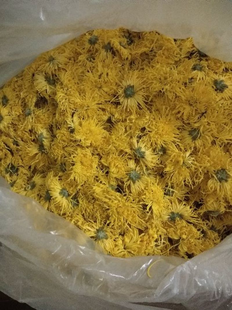 金丝黄菊散装，包装各种规格