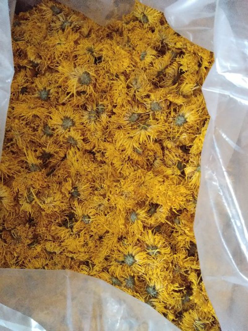 金丝黄菊散装，包装各种规格