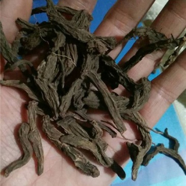红大戟