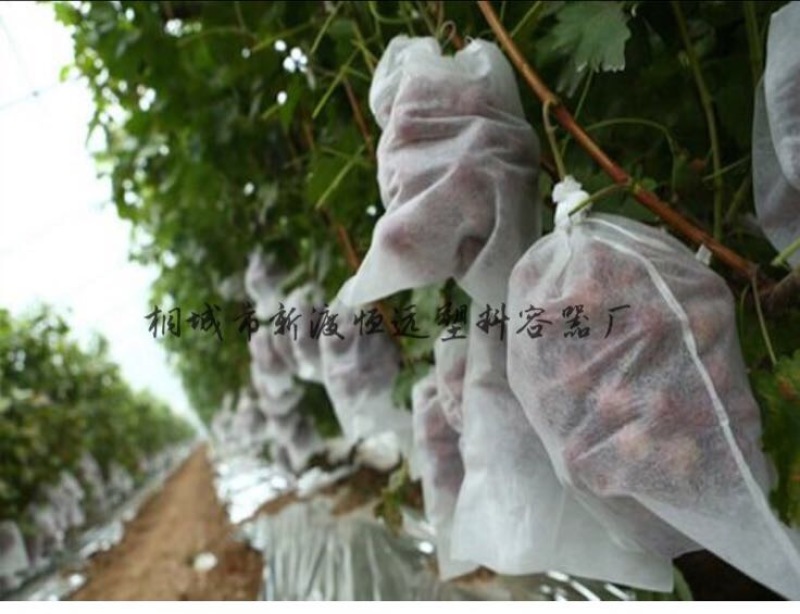 葡萄袋优质无纺布葡萄套袋防鸟防虫防菌