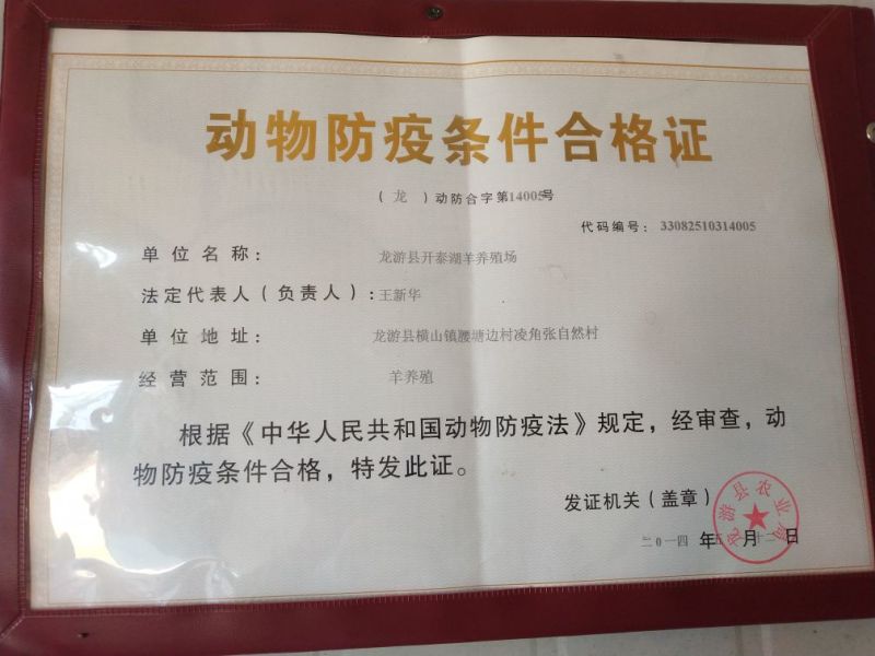 优质湖羊种羊出售可以实地考察