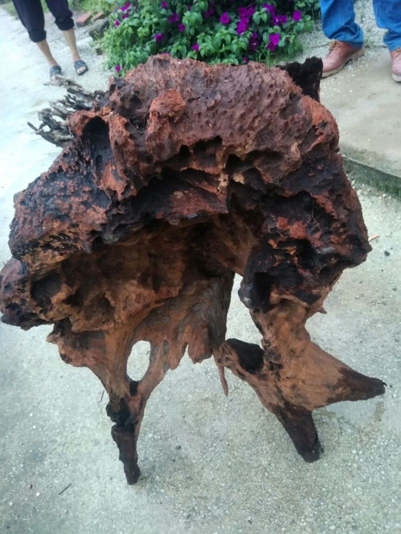 香樟榴摆件