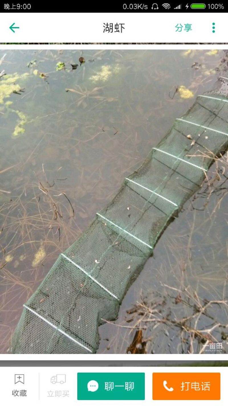 小龙虾