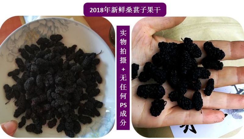 2025桑葚干新鲜500g包邮无沙免洗