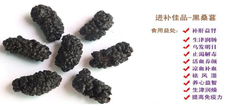 2025桑葚干新鲜500g包邮无沙免洗