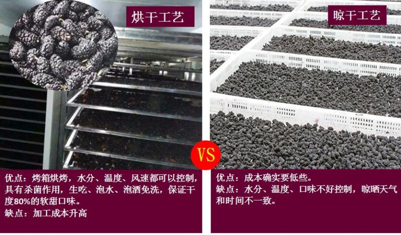 2025桑葚干新鲜500g包邮无沙免洗