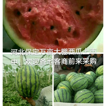 甜王西10斤打底9成熟1茬，，，，，