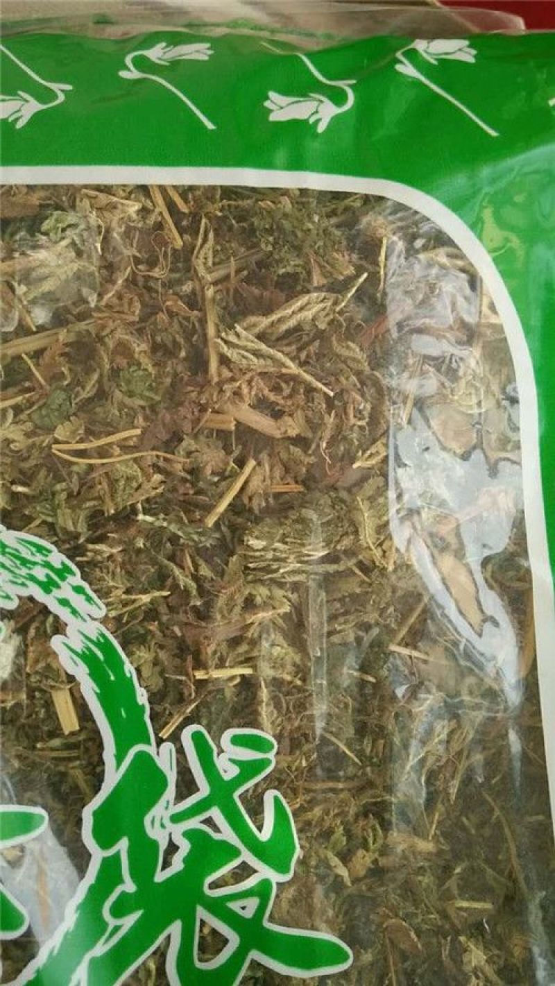 石上柏